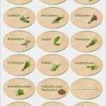 Flaschen Etiketten Vorlage Word Genial Etiketten Flaschen Vorlagen Kostenlos Inspiration Gratis