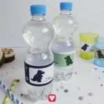 Flaschen Spicker Vorlage Wunderbar Ziemlich Flaschenetikett Vorlage Zeitgenössisch Entry