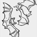 Fledermaus Laterne Vorlage Schön Die Besten 25 Fledermaus Vorlage Ideen Auf Pinterest