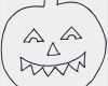 Fledermaus Vorlage Zum Basteln Einzigartig Xobbu Malvorlage Halloween Kürbis Basteln Vorlage