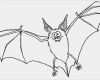 Fledermaus Vorlage Zum Basteln Wunderbar Fledermaus