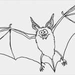 Fledermaus Vorlage Zum Basteln Wunderbar Fledermaus