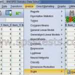 Fleiss Kappa Excel Vorlage Wunderbar How to Write Reliability Results