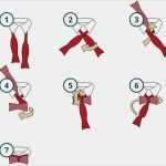 Fliege Vorlage Hübsch Krawatte Oder Fliege Welche Wahl Trefft Ihr