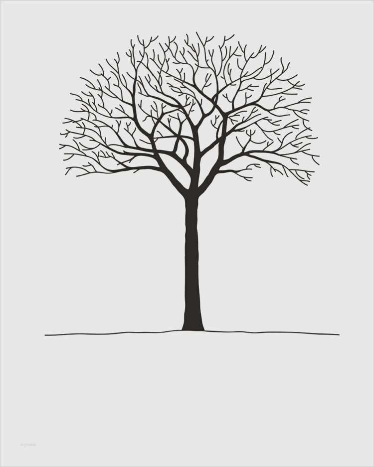 Florale ornamente Vorlagen Kostenlos Elegant Florale ornamente Vorlagen Kostenlos Erstaunlich ornamente