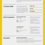 Flugblatt Vorlage Schön Die Besten 25 Lebenslauf Vorlage Schweiz Ideen Auf Pinterest