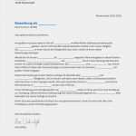Fluggastrechte Vorlage Neu Richtig Bewerbung Schreiben