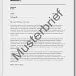 Flugverspätung Entschädigung Vorlage Angenehm 13 Perfekt Interne Bewerbung Schreiben Für Jeden Jobsuche