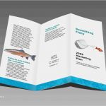Flyer 6 Seitig Vorlage Word Wunderbar Word Faltblatt Vorlagen Zum Herunterladen