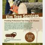 Flyer A6 Vorlage Neu Tree Surgeon A6 Leaflets