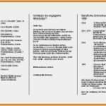 Flyer Beispiele Vorlagen Erstaunlich Flyer Beispiele Vorlagen Schönste 10 Bewerbungsflyer