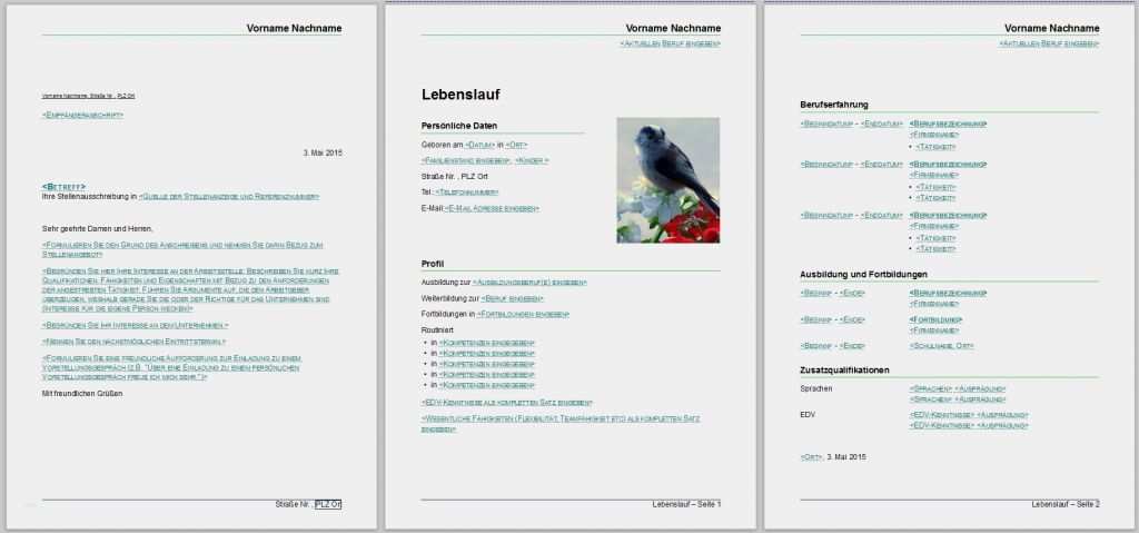 Flyer Bewerbung Vorlage Genial Bewerbungsvorlagen Für Libreoffice