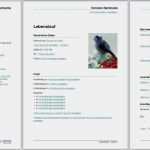 Flyer Bewerbung Vorlage Genial Bewerbungsvorlagen Für Libreoffice
