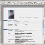 Flyer Bewerbung Vorlage Kostenlos Best Of 15 Flyer Erstellen Kostenlos