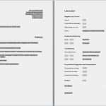 Flyer Bewerbung Vorlage Kostenlos Wunderbar Bewerbung Betreuungskraft Kostenlose Anwendung Die