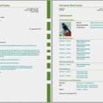 Flyer Bewerbung Vorlagen Bewundernswert Bewerbungsvorlagen Für Libreoffice