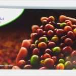 Flyer Din Lang Vorlage Einzigartig Werbeflyer Online Drucken