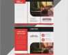 Flyer Dreifach Gefaltet Vorlage Luxus Unternehmens Dreifach Gefaltete Flyer Vorlage