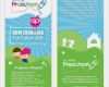 Flyer Haussuche Vorlage Großartig Preschool Flyer Template 06