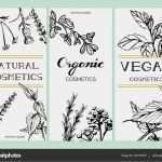Flyer Kosmetik Vorlagen Großartig Flyer Vorlagen Mit Blumen Und Kräutern — Stockvektor