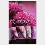 Flyer Nagelstudio Vorlagen Erstaunlich Terminkarte Nail Wave