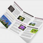 Flyer Wickelfalz 6 Seitig Vorlage Neu Falzflyer Folder 6 Seiten Din Lang Günstig Online Drucken