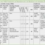 Fmea Excel Vorlage Erstaunlich Fmea Analyse Fehlermöglichkeits Und Einflussanalyse