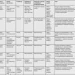 Fmea Excel Vorlage Fabelhaft tolle Fmea Vorlage Fotos Dokumentationsvorlage Beispiel