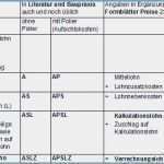 Fmea formblatt Vorlage Fabelhaft formblatt 221 Excel Vorlage Schön Schön Fmea formblatt