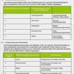 Fmea formblatt Vorlage Inspiration Fmea formblatt Vorlage Angenehm Ziemlich Fmea Vorlagen