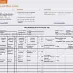 Fmea formblatt Vorlage Inspiration Niedlich Fmea Vorlage Fotos Vorlagen Ideen fortsetzen