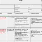 Fmea formblatt Vorlage Wunderbar Niedlich Prozess Fmea Vorlage Bilder Entry Level Resume