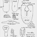 Fondant Babyschuhe Vorlage Wunderbar Die Besten 25 Fc Bayern torte Schablone Ideen Auf