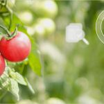 Food Fraud Gefahrenanalyse Vorlage Einzigartig Notwendige Haccp Prp Präventivprogramme Im Unternehmen