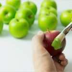 Food Fraud Gefahrenanalyse Vorlage Schön assimilation Integration Concept Stock Image Of