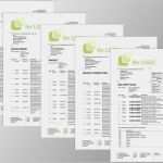 Forderungsaufstellung Vorlage Download Cool Mahnung Englisch Jtl Druckvorlagen Set Mahnung Fr Jtl