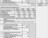 Formblatt 221 Excel Vorlage Luxus Ungewöhnlich Geschäftskosten Vorlage Galerie