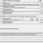 Formblatt 223 Excel Vorlage Kostenlos Großartig formblatt 221 Excel Vorlage Erstaunlich Belege formblatt