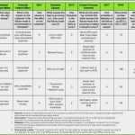 Formblatt 223 Excel Vorlage Kostenlos Schönste formblatt 221 Excel Vorlage Fabelhafte tolle Fmea Vorlagen