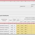 Formblatt 223 Excel Vorlage Kostenlos Süß Efb formblatt 223