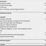 Formlose Gewinnermittlung Kleinunternehmer Vorlage Kostenlos Einzigartig formlose Gewinnermittlung In Der EÜr