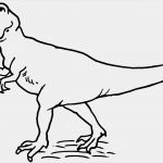 Fortnite Vorlage Best Of Tyrannosaurus Rex Ausmalbild & Malvorlage Tiere