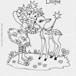 Fortnite Vorlage Erstaunlich Prinzessin Lillifee Ausmalbilder Und Malvorlagen