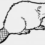 Fortnite Vorlage Süß Biber Sitzend Ausmalbild & Malvorlage Tiere