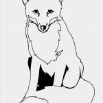 Fortnite Vorlage Wunderbar Ausmalbilder Von Biber Berry Eule Fuchs Und Viele Tiere