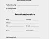 Fos Praktikumsbericht Vorlage Schön Vorlage Für Praktikumsberichte