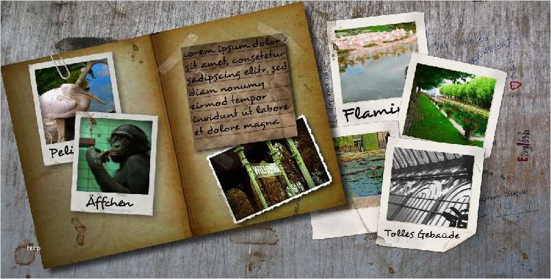 Ein Fotobuch mit shop Elements erstellen ein fotobuch mit photoshop elements erstellen