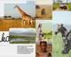 Fotobuch Kommunion Vorlagen Luxus Gestaltungsidee Afrika Im Fotobuch