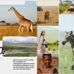 Fotobuch Kommunion Vorlagen Luxus Gestaltungsidee Afrika Im Fotobuch