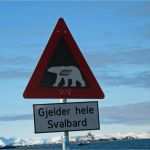 Fotobuch Mein Schiff Vorlage Erstaunlich norwegen nordkap & Spitzbergen Mit Mein Schiff 1